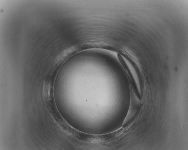 X0000084600115200703021636