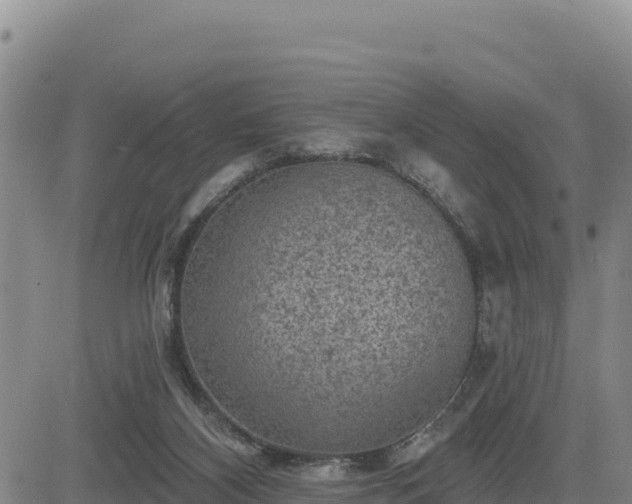 X0000084600116200703021636