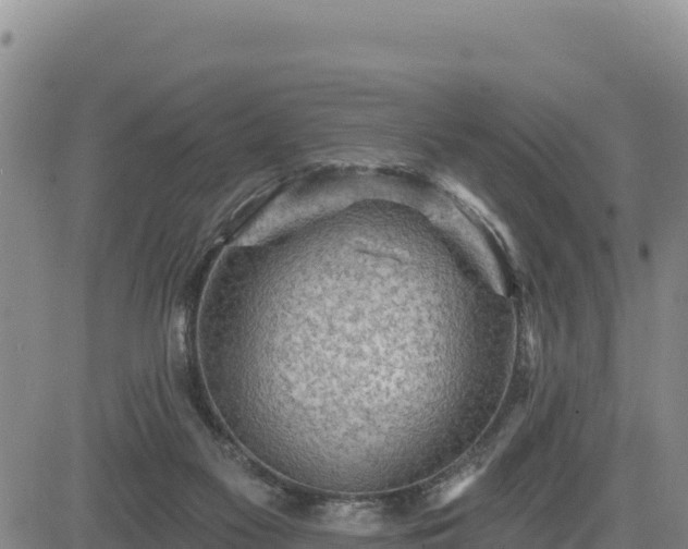 X0000084600117200703021636