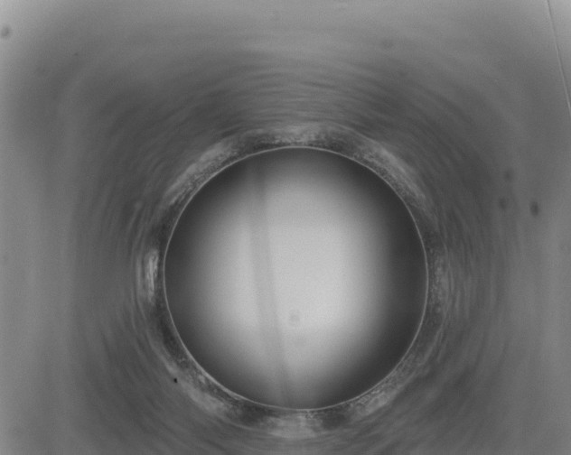 X0000084600118200703021636