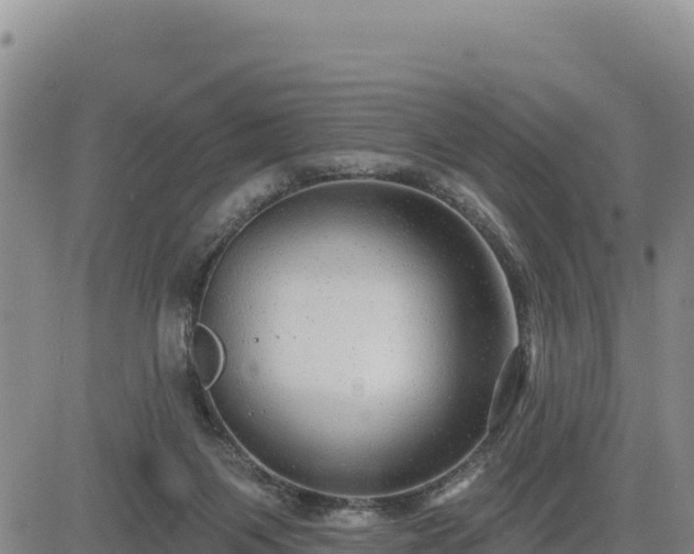 X0000084600119200703021636