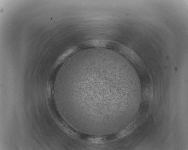 X0000084600120200703021636