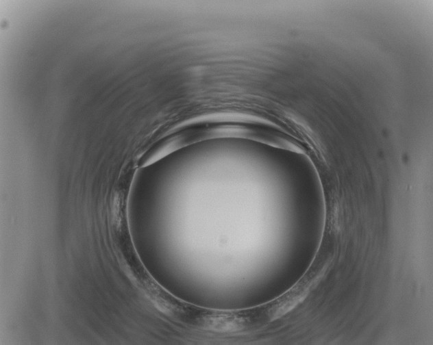 X0000084600121200703021636