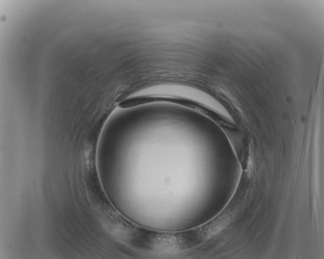 X0000084600123200703021636