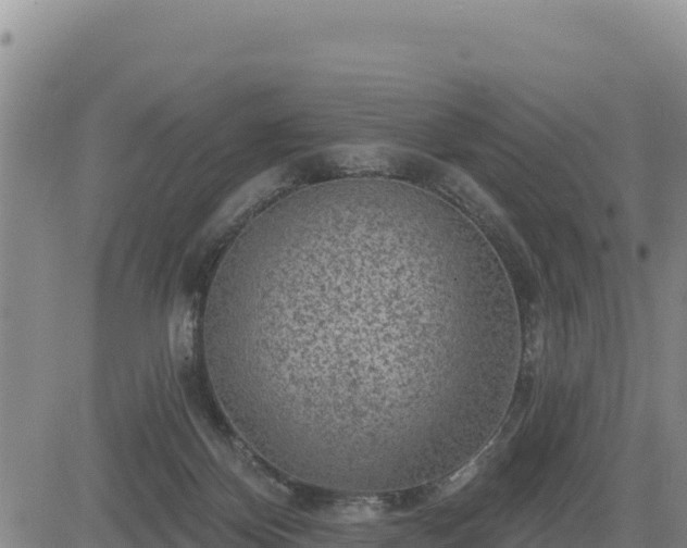 X0000084600124200703021636