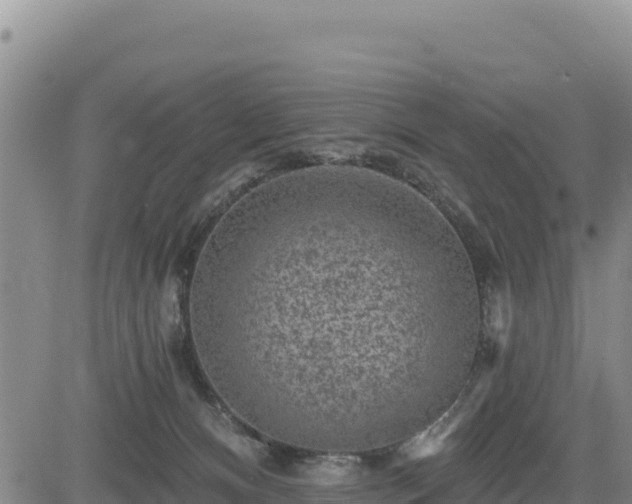 X0000084600128200703021636