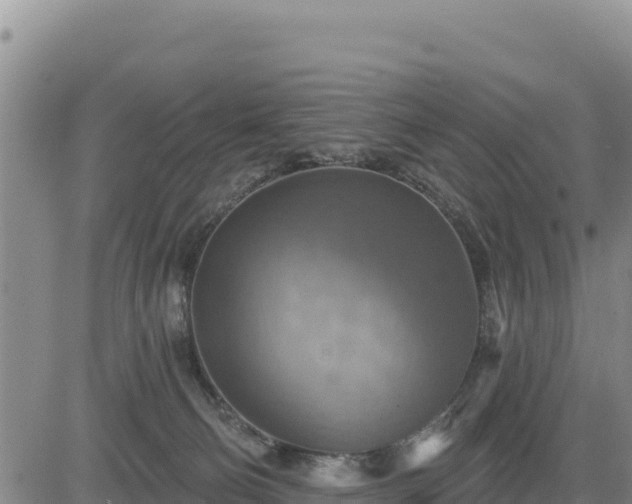 X0000084600130200703021636