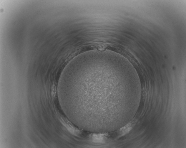 X0000084600134200703021636