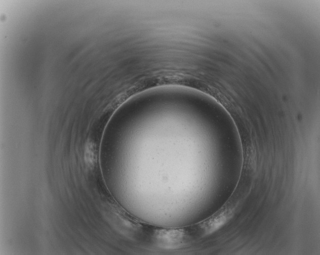 X0000084600135200703021636