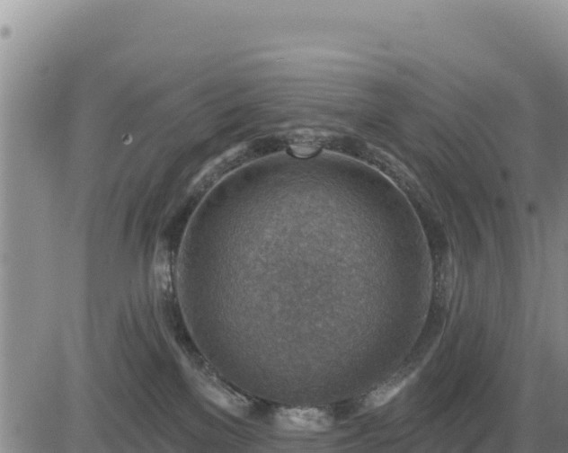 X0000084600137200703021636