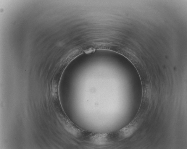 X0000084600138200703021636