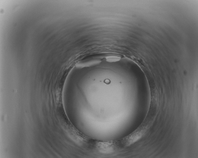 X0000084600139200703021636