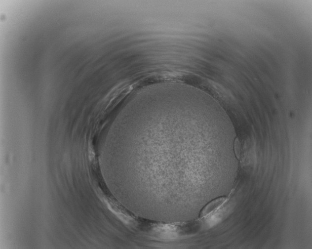 X0000084600140200703021636