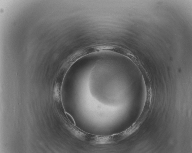 X0000084600143200703021636