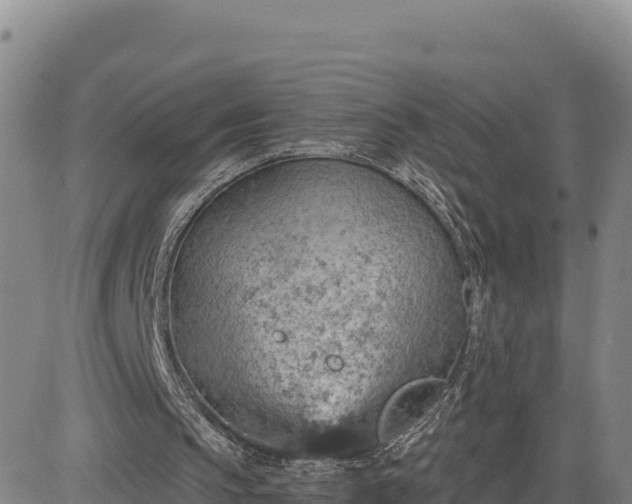 X0000084600145200703021635