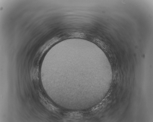 X0000084600146200703021635