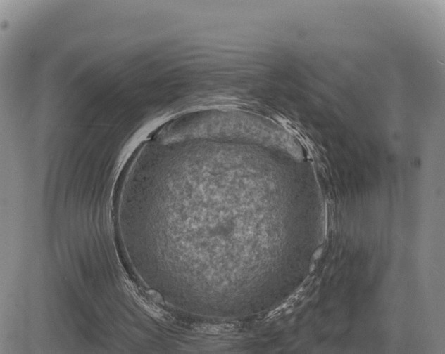 X0000084600147200703021635