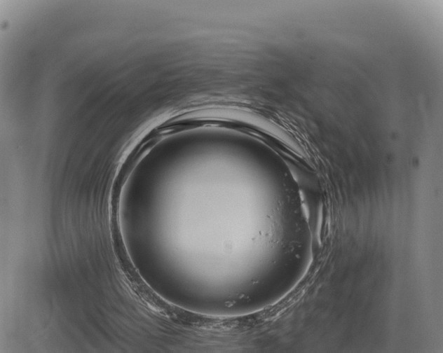 X0000084600148200703021635