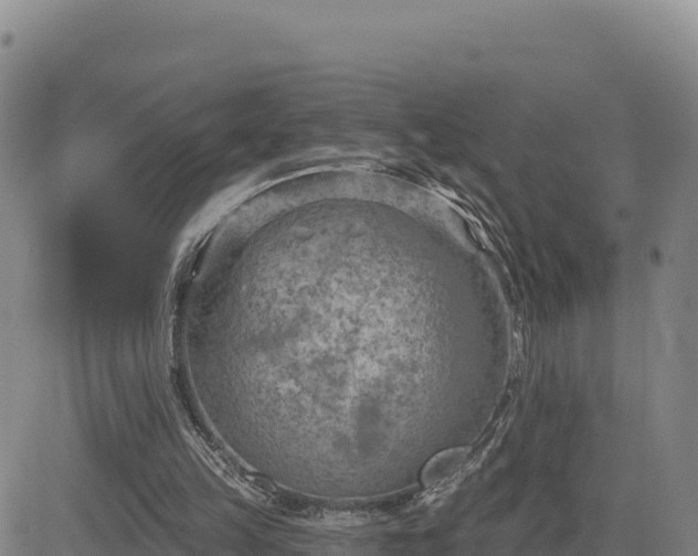 X0000084600149200703021635