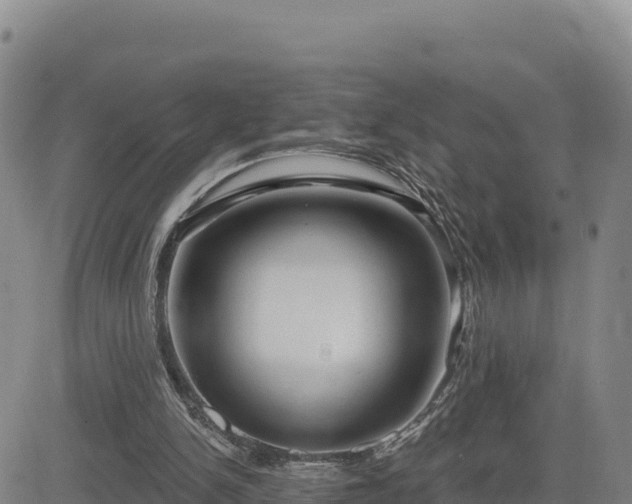 X0000084600150200703021635