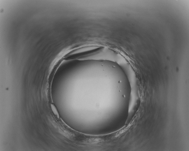 X0000084600152200703021635