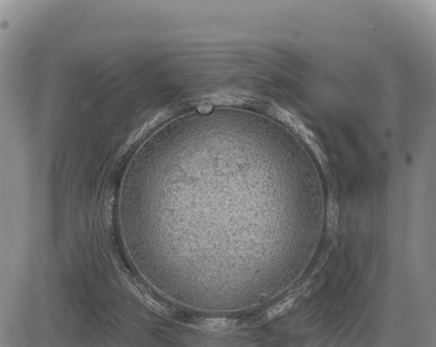 X0000084600153200703021635