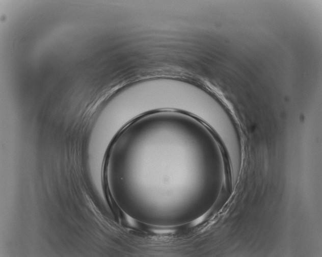 X0000084600154200703021635