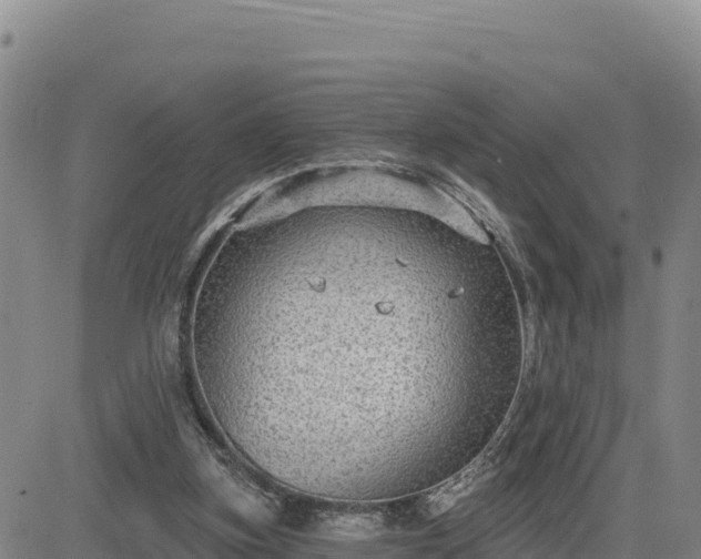 X0000084600155200703021635