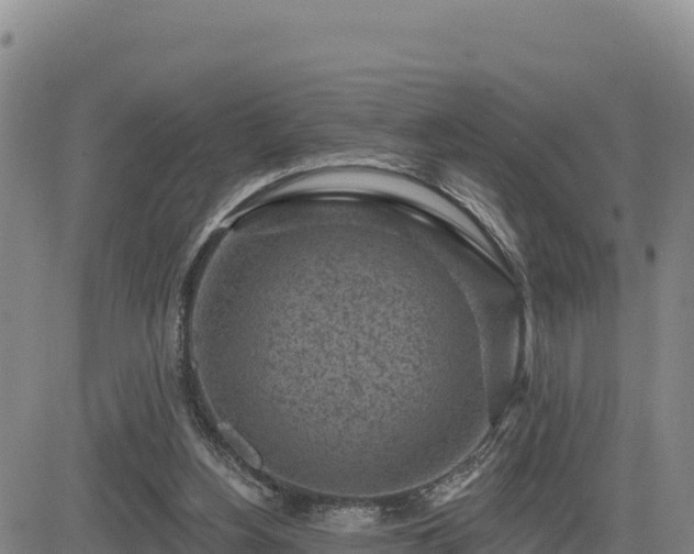 X0000084600156200703021635