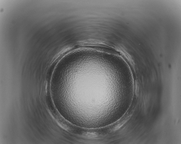 X0000084600157200703021635