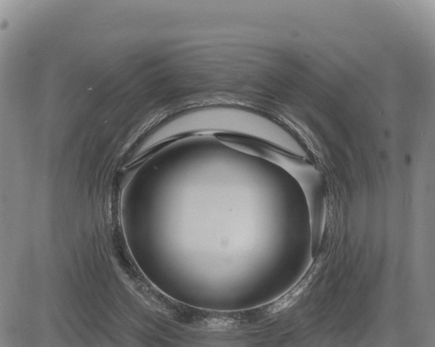 X0000084600158200703021635