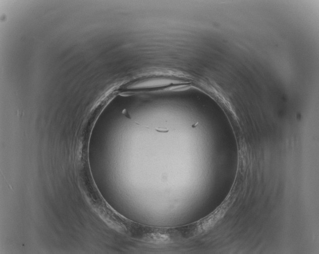 X0000084600159200703021635