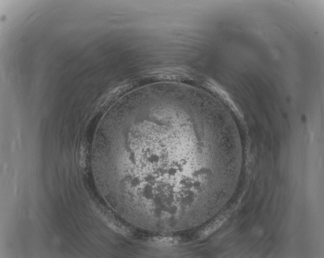 X0000084600161200703021635