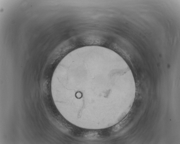 X0000084600162200703021635