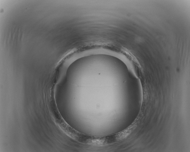 X0000084600163200703021635