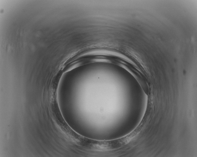 X0000084600164200703021635