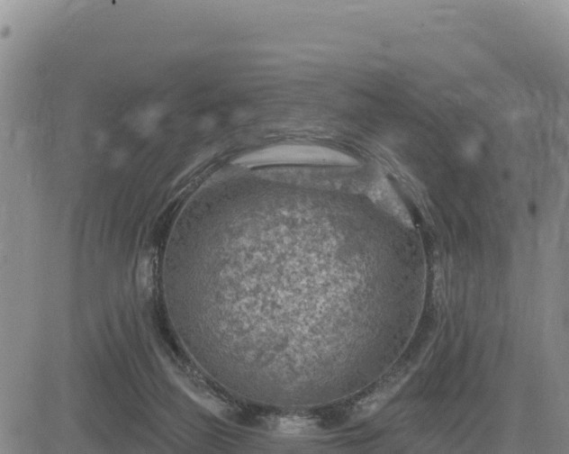 X0000084600165200703021635