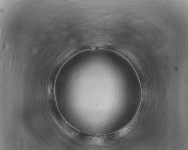 X0000084600166200703021635