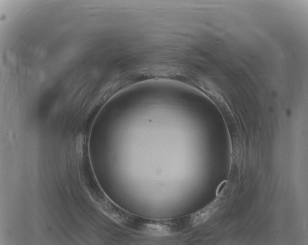 X0000084600167200703021635