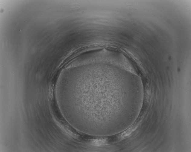 X0000084600168200703021635