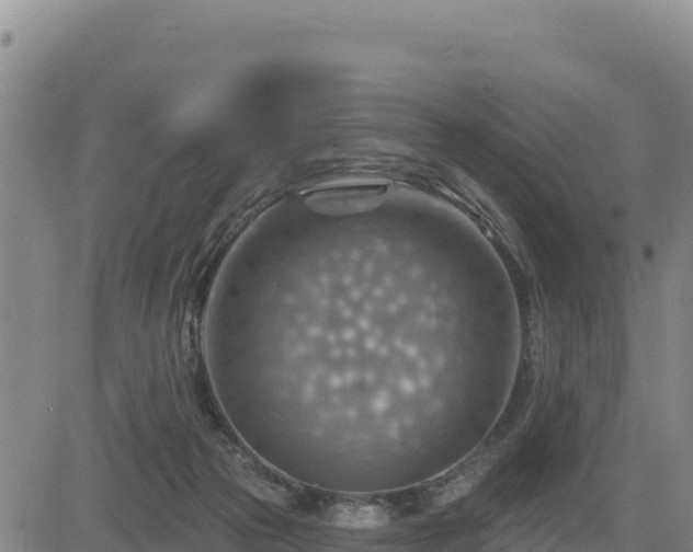 X0000084600169200703021635