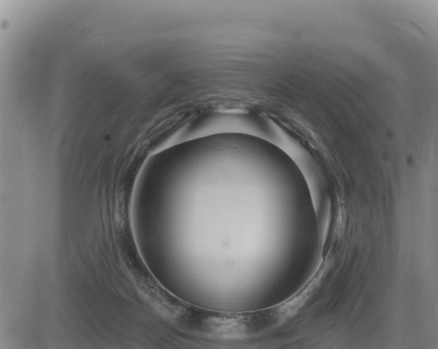 X0000084600170200703021635