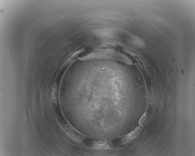 X0000084600175200703021636