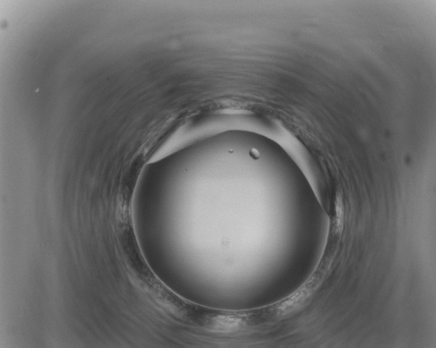 X0000084600176200703021636