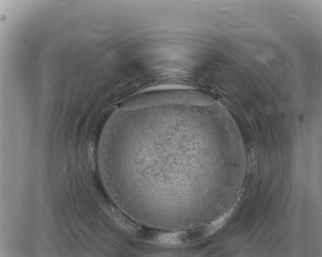 X0000084600178200703021636