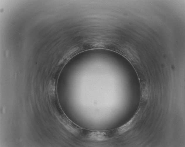 X0000084600179200703021636