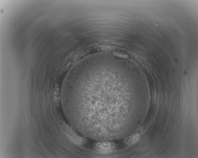 X0000084600181200703021636