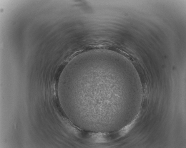 X0000084600182200703021636