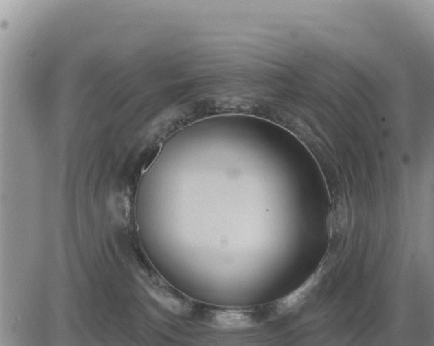 X0000084600183200703021636