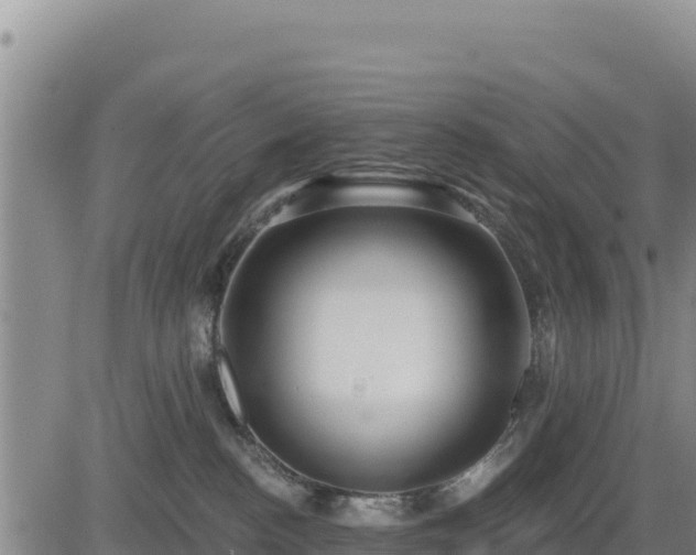 X0000084600188200703021636